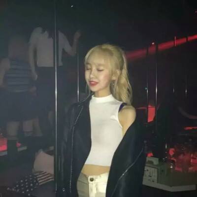 姬武将战国乱舞最新版下载